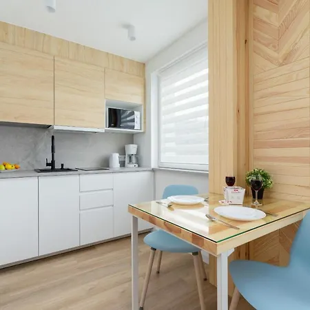 Centre Chramcowki Studio By Renters * Zakopane